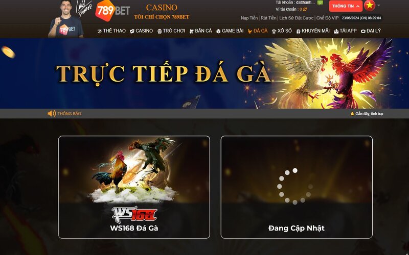 Sảnh đá gà 789BET